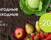 ВЫГОДНЫЕ ВЫХОДНЫЕ 21 - 23 февраля 25г.