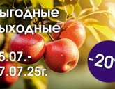 ВЫГОДНЫЕ ВЫХОДНЫЕ 25 - 27 ИЮЛЯ В НАШИХ САДОВЫХ ЦЕНТРАХ!