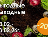 ВЫГОДНЫЕ ВЫХОДНЫЕ С 20 ПО 23 ФЕВРАЛЯ!