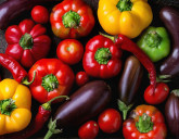 Томаты, перцы и баклажаны от фирмы 