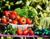 Удачный ЛУННЫЙ ПОСЕВНОЙ КАЛЕНДАРЬ на АВГУСТ 2024 года