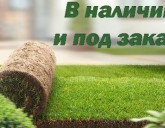 РУЛОННЫЙ ГАЗОН - ЭТО БЫСТРО И КРАСИВО!