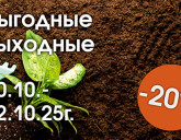 ВЫГОДНЫЕ ВЫХОДНЫЕ 10 - 12 ОКТЯБРЯ!