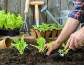 Удачный ЛУННЫЙ ПОСЕВНОЙ КАЛЕНДАРЬ на АПРЕЛЬ 2024 года