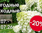 ВЫГОДНЫЕ ВЫХОДНЫЕ В НАШИХ САДОВЫХ ЦЕНТРАХ С 10 ПО 12 ИЮЛЯ!