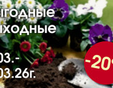 ЛУЧШИЙ ПОДАРОК НА 8 МАРТА - ГРУНТ РАССАДНЫЙ И СЕМЕНА ЦВЕТОВ!