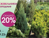 АКЦИЯ В САДОВЫХ ЦЕНТРАХ С 22 ПО 24 СЕНТЯБРЯ!