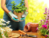 Удачный ЛУННЫЙ ПОСЕВНОЙ КАЛЕНДАРЬ на ИЮЛЬ 2023 года