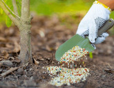 Начинаем вносить осенние удобрения!