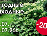 ВЫГОДНЫЕ ВЫХОДНЫЕ В НАШИХ САДОВЫХ ЦЕНТРАХ С 24 ПО 26 ИЮЛЯ!