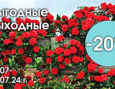 ВЫГОДНЫЕ ВЫХОДНЫЕ В НАШИХ САДОВЫХ ЦЕНТРАХ 26 - 28 ИЮЛЯ