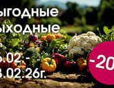 ВЫГОДНЫЕ ВЫХОДНЫЕ 6 - 8 ФЕВРАЛЯ!