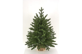 Ель Версальская настольная 0,9м. Max Christmas ВРС09