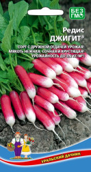 Редис Джигит (Урал. Дачник)