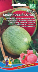 Арбуз Малиновый сорбет (Урал. Дачник)