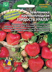 Земляника/ Клубника Гордость Урала крупноплод. (Урал. Дачник)
