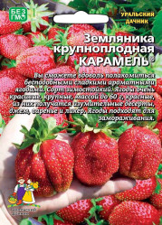 Земляника/ Клубника Карамель крупноплод. (Урал. Дачник)