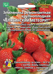 Земляника/ Клубника Челябинский метеорит ремонт. (Урал. Дачник)