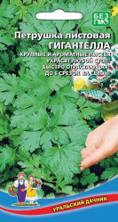 Петрушка Гигантелла листовая (Урал. Дачник)