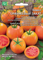 Томат Оранжевый закат (Урал. Дачник)