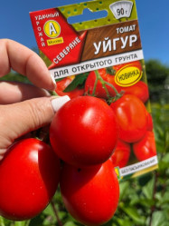 Томат Уйгур (Аэлита)