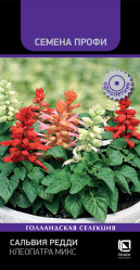 Сальвия Сальвия Редди Клеопатра Микс 10шт (Поиск)