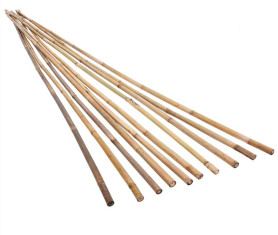 Бамбук поддержка Дачаtime 90см. 8/10мм (10шт)