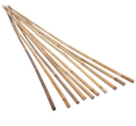 Бамбук поддержка Дачаtime 120см. 8/10мм (10шт)