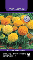 Бархатцы Бархатцы Антигуа Микс прям. (Семена Профи) 15шт. (Поиск)