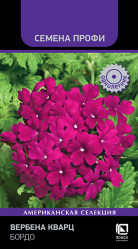 Вербена Вербена Кварц Бордо 10шт (Поиск)