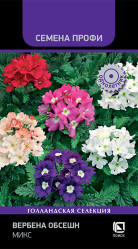 Вербена Вербена Обсешн Микс 10шт (Поиск)