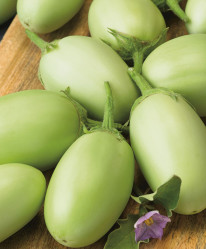 Баклажаны Алёнка 10шт (Сады России)