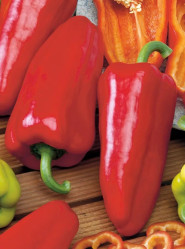 Перец сладкий Квикли 5шт (Сады России)