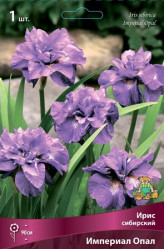 Ирис сибирский Империал Опал (1шт./уп.) (Солн.сад)