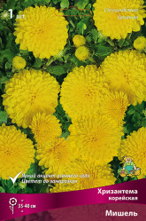 Хризантема корейская Мишель (1шт./уп.) (Солн.сад)