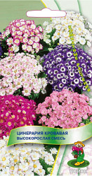 Цинерария кровая Высокорослая смесь 0,01гр. (комн.раст.) (Поиск)