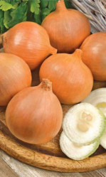 Лук репчатый Ледокол (Урал. Дачник)