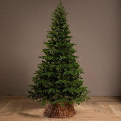 Ель Каспийская 1,5м. Ёлушка ЕКАСП15