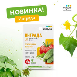 Интрада (фл.10мл.) Август