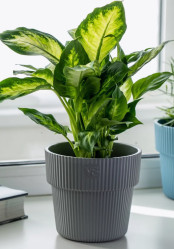 Горшок Алемар VipSet 4,8л серый с дренажной системой