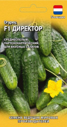 Огурцы Директор F1 5шт. Голландия (Гавриш)