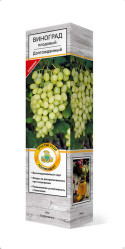Виноград Долгожданный (Поиск)