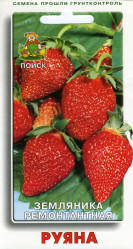 Земляника Руяна 100шт. (Поиск)