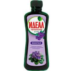 Идеал Сенполия (Фиалка) фл.0,25л.