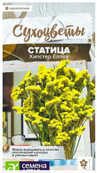 Статица (Лимониум) Статица Хипстер Еллоу 5шт. (Сем Алт)