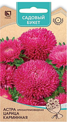 Астра Астра Хризантемовидная Царица карминная 0,1г. (Поиск)
