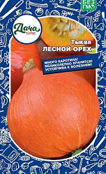 Тыква Лесной орех Дача тайм