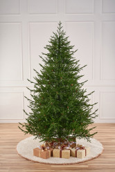 Ель Лесная Фея литая с шишками 1,8м. (d=1,37м.) Max Christmas ЕЛФШ18