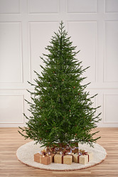 Ель Лесная Фея литая с шишками 2,4м. (d=1,57м.) Max Christmas ЕЛФШ24