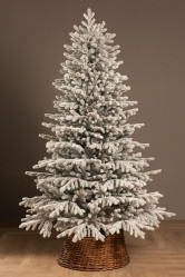 Ель Уральская заснеженная 2,4м. Ёлушка ЕУРАЛЗ 24